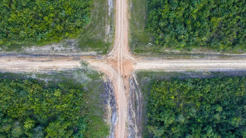 Cambiar de carrera: repetir selectividad (PAU)